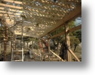 pergola irise gole club017.jpg